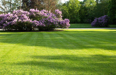 Spring Lawn Care, View more
