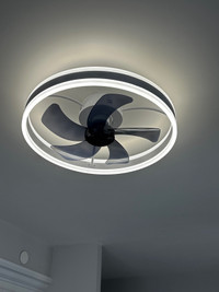 LED ceiling light with fan and remote 