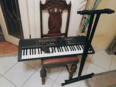musical instruments , View more