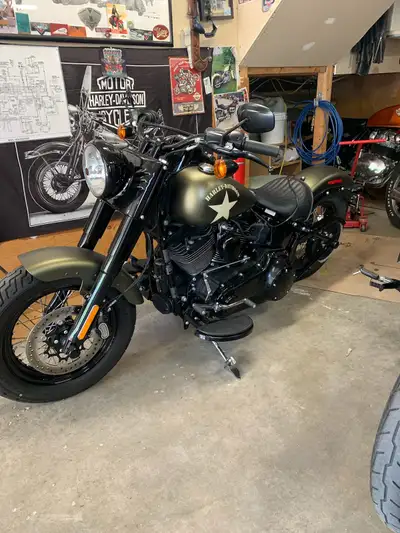 Excellent condition, 760 original km. comes with the 110 Screaming Eagle engine. These bikes were on...