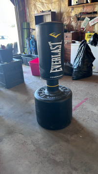 Standing punching bag