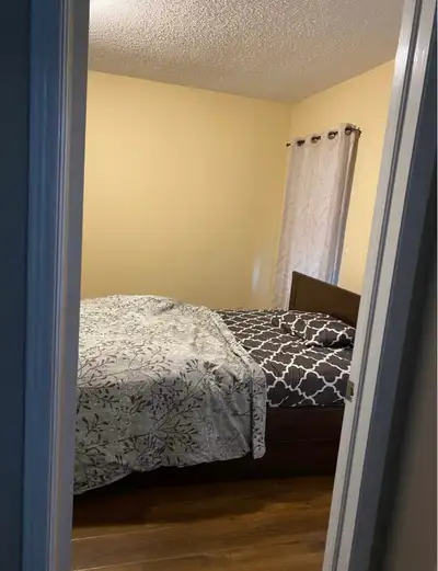 Room is available for rent in the house from 1 April only for girls. For one person the rent would b...