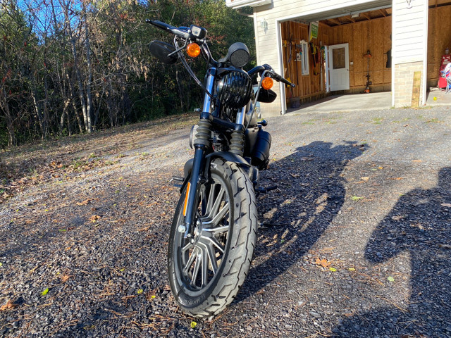 PRICE DROP - 2014 Harley-Davidson Iron 883 in Street, Cruisers & Choppers in Ottawa - Image 4