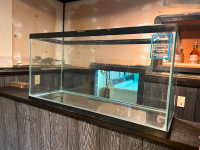 35 Gallon Fish Tank/ Aquarium - $75 obo