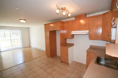 logement 3 1/2 Saint-Hubert, Grand, Air climatisé, libre