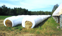 HAY BALES FOR SALE