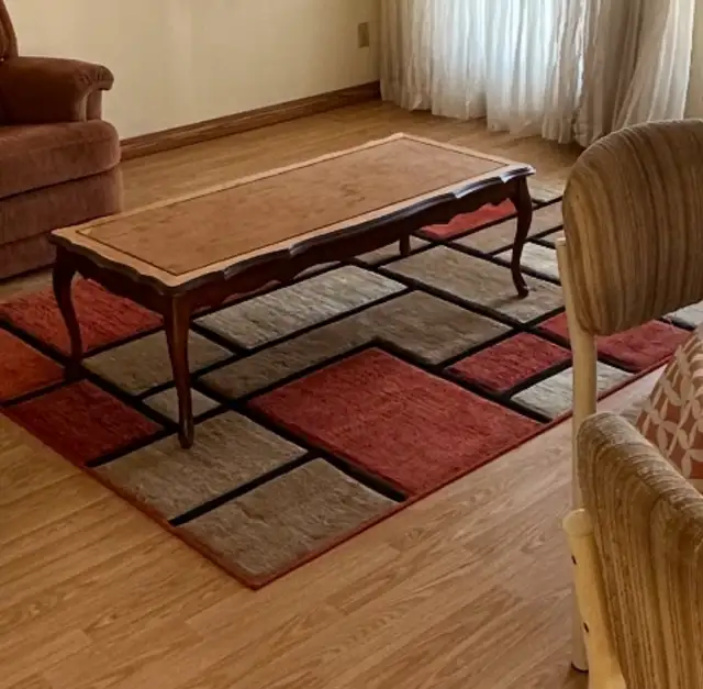 carpet clean no smoking/pets etc 62863284308865122