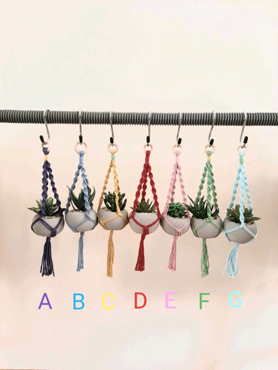Mini Macrame Plant Hanger with Artificial Succulent Plant , View more