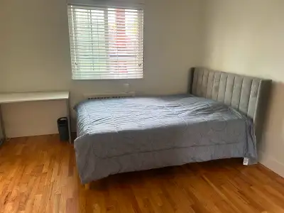 Looking for a pet friendly female flatmate for 2 bedroom apartment - AVAILABLE IMMEDIATELY • The uni...