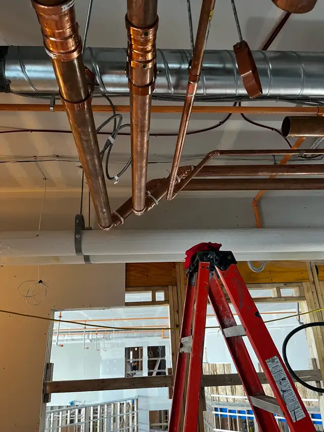 Licensed Plumbing Services426574198803671042