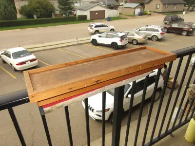 Railing Mounted Bird Feeder for Decks & Balconies. Securely sits on top of a railing. Can use a clot...