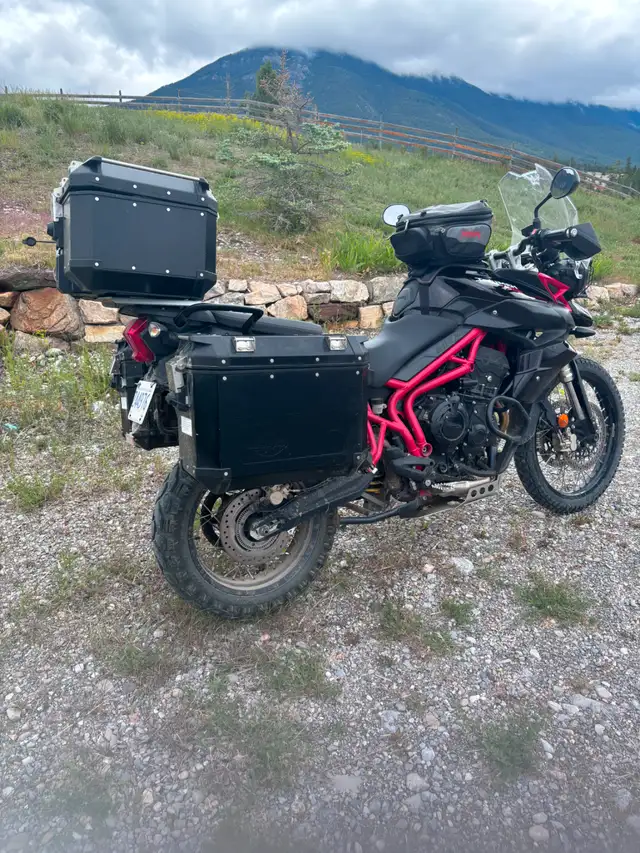 2014 Triumph Tiger in Sport Touring in Cranbrook - Image 7