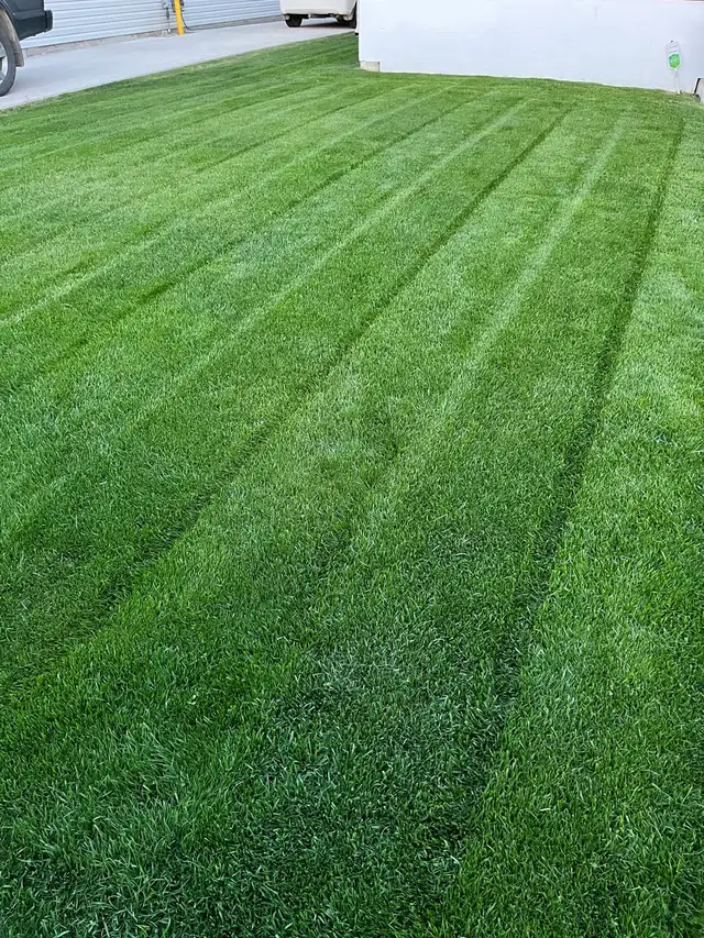 Red Deer Lawn Care62864360076802121