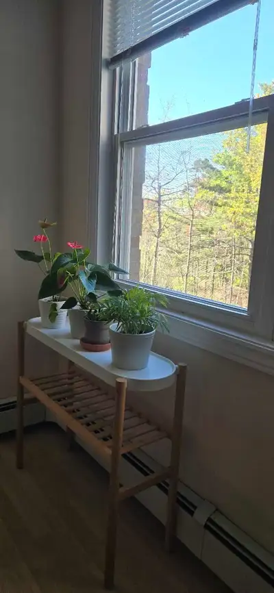 2 Bed / 2 Bath Apartment for Short-Term Rent (1 Month) A cozy and quiet 2-bedroom, 2-bathroom fully...