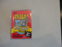 Topp's Desert Storm War Non Sports Card Set