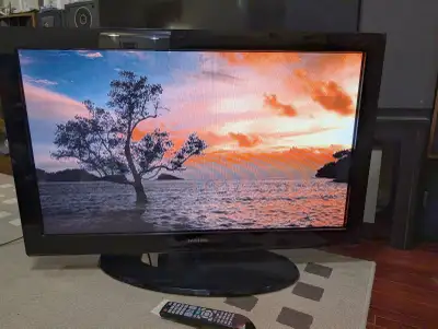42-inch Samsung TV, View more