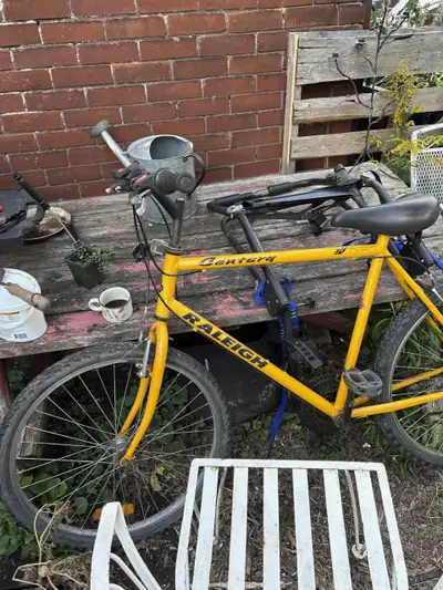 Vintage Raleigh mountain bike, View more