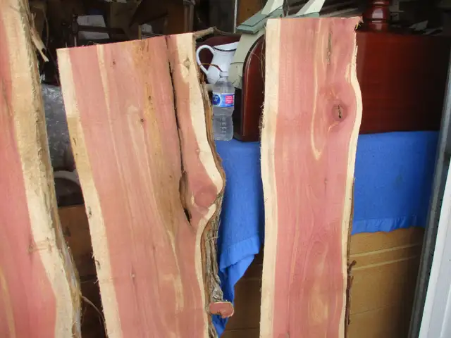LIVE EDGE CEDAR KILN DRIED WOOD SLABS $120. EA.  SAWMILL in Arts & Collectibles in Winnipeg - Image 4