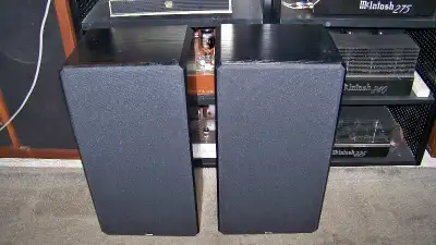 New foam surrounds. They sound fantastic. Will consider trades for vintage stereo stuff, like turnta...