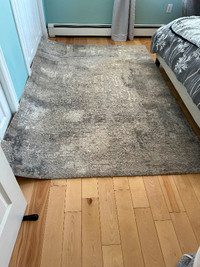 Medium area rug