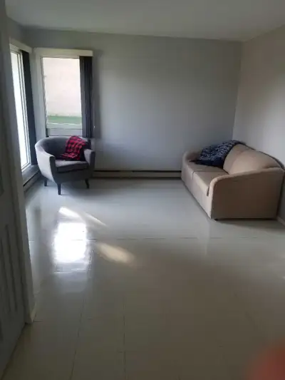 Apartment Suite located in Binscarth, MB. One bedroom, one bathroom suite for rent - $900 per month,...