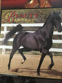 Binder Full of Hundreds of Gorgeous Color Photos of Horses