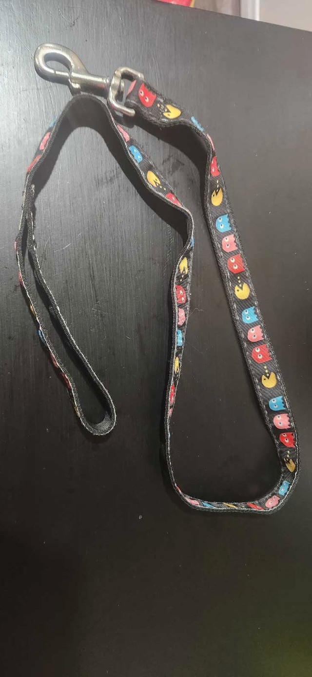 Dog collars  in Accessories in Muskoka - Image 4