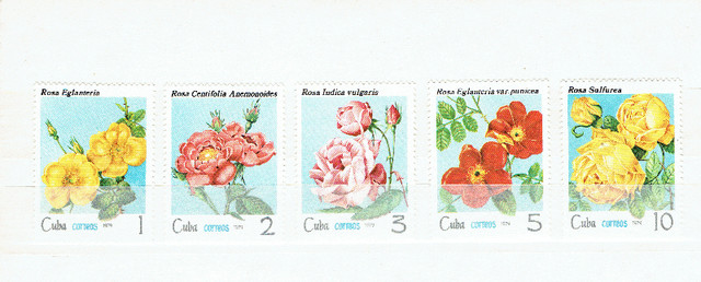 CUBA. LOT de 82 Timbres MINT et 2 Cartes Postales. dans Art et objets de collection  à Ville de Montréal - Image 4