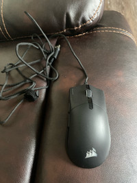 Gam mouse