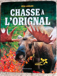 Chasse à l'orignal