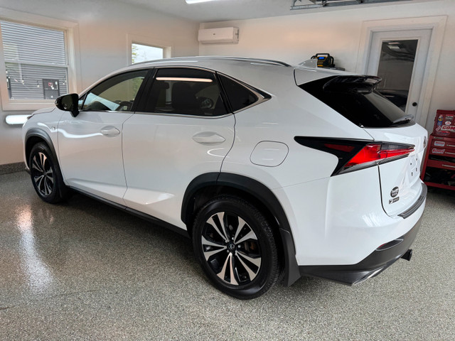 2019 Lexus NX 300 F Sport New MVI  in Cars & Trucks in Truro - Image 2