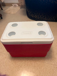 COOLER FOR FOOD, COTTAGE, PICNIC, CAMPING