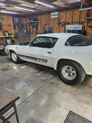 1981 Chevrolet Camaro