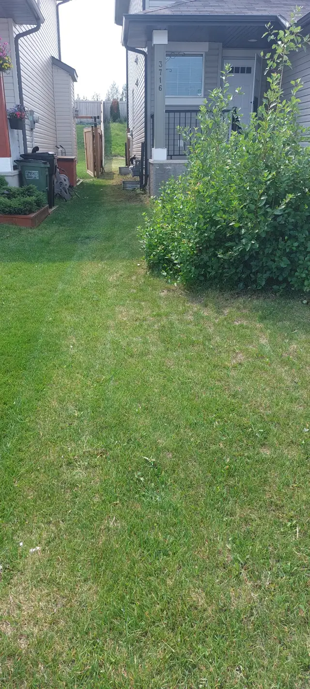 AFFORDABLE LAWN MOWING SERVICES62863247655937122