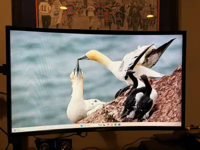 Samsung 27 inch curved monitor, View more