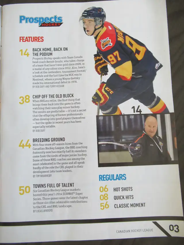 Edmont0n Oilers Goalie Stick, McDav1d OHL Mag SEE DESCR in Hockey in Brantford - Image 4