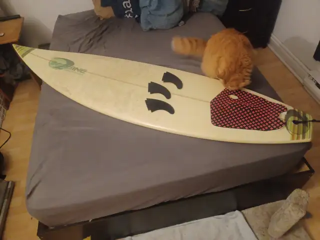 Surfboard