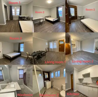 House for rent