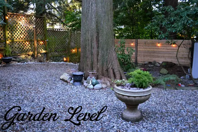 2b 1 bath Garden level suite in Canyon Heights in North Van in Long Term Rentals in North Shore - Image 4