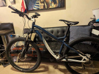 Mountain bike specialized ( Elite Myka )