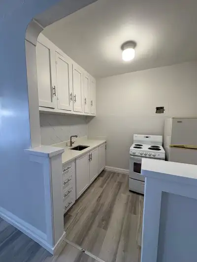 ️ Renovated Downtown Apartments – Utilities Included! Modern studio & 1-bedroom units available at 2...