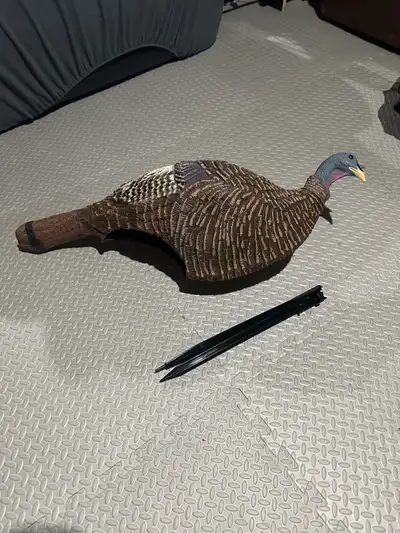 turkey decoy, View more