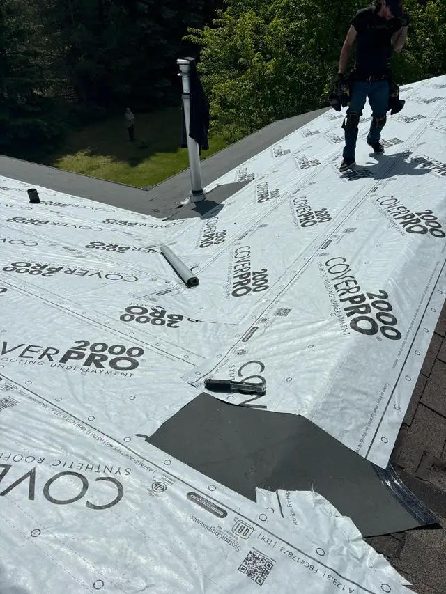 PROFESSIONAL ROOFING SERVICES / RLK PRO SERVICES LTD.521699848020961286