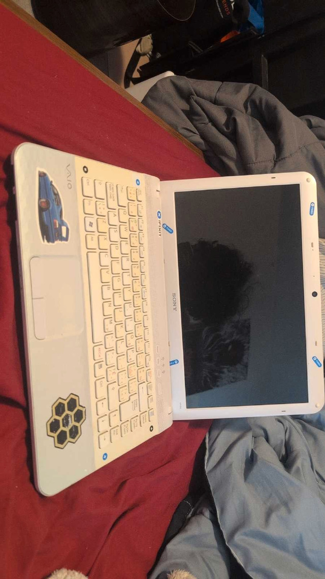 Sony Vaio VPCEG in Laptops in City of Toronto