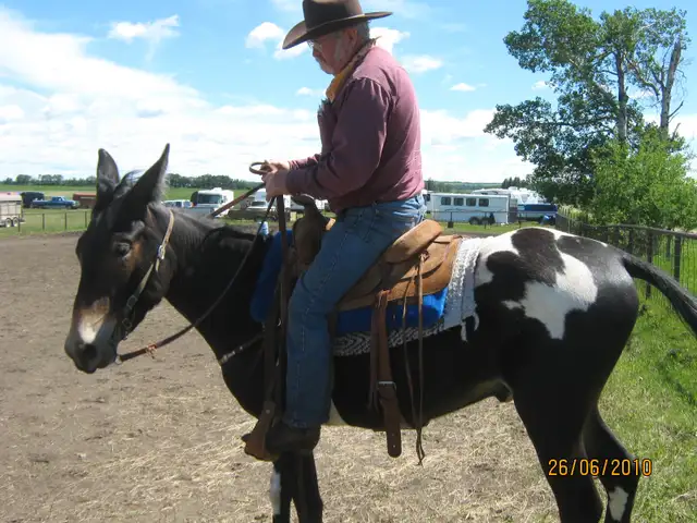 ISO partners65048424612099122