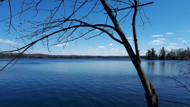 Private Cottage on beautfull Bobs Lake in Ontario in Canada - Image 5