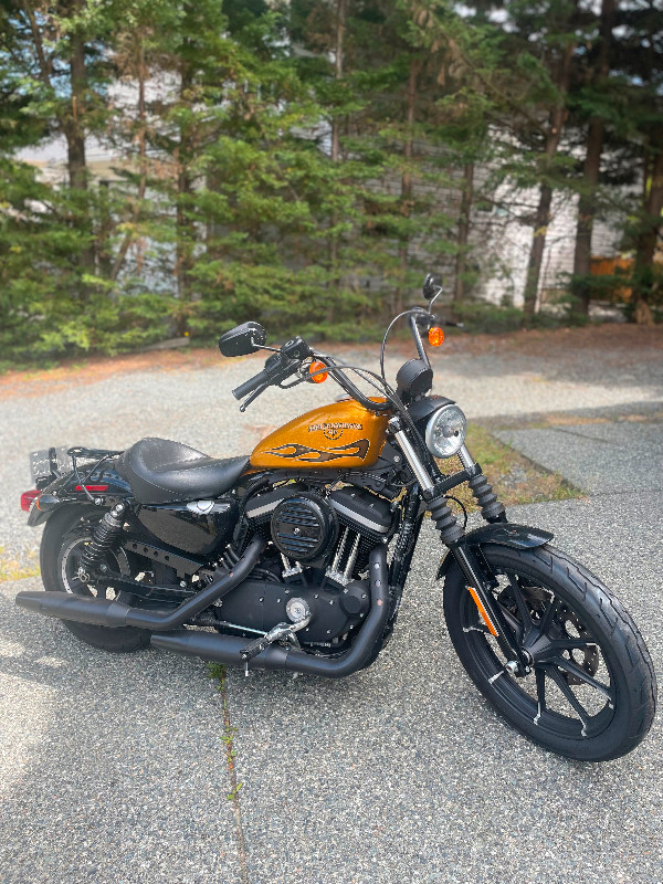 2016 Harley Sportster 883 in Street, Cruisers & Choppers in Nanaimo