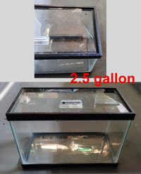 Glass Tanks (2.5 5.5 10 15 20 gallon)