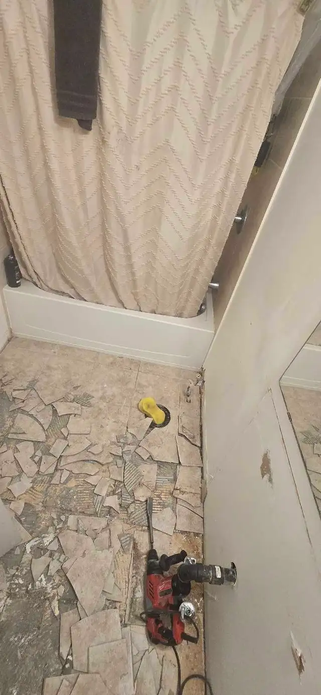 renovation assembling 558376008423188489