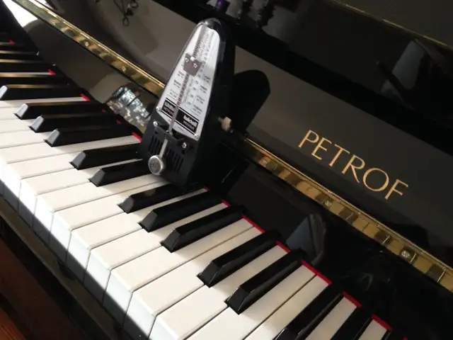 PIANO PRIVATE LESSONS IN YOUR HOME.